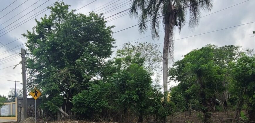 Terreno en venta en Villa Mella (La Victoria)